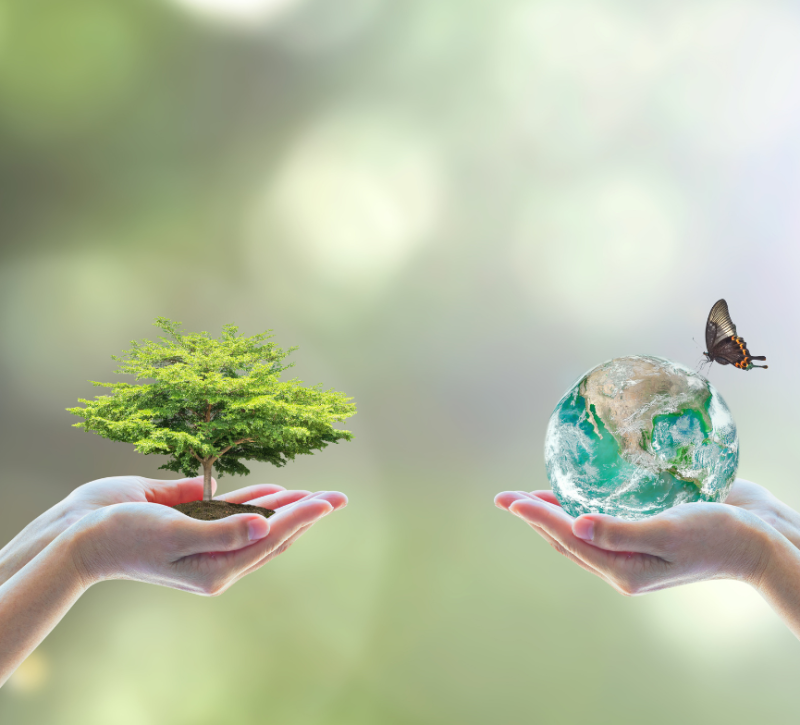 maatschappelijk verantwoord ondernemen duurzaam social return